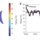 Image for article titled Behold The First Fully Warm-Blooded Fish Known To Science